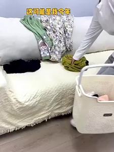 ASCOR | Aesthetic Large Capacity Laundry Basket
