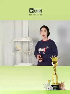Yee | Anti-Splash Stainless Steel Bird Feeder