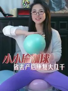 SHENWO | Pelvic Floor Core Recovery Pilates Yoga Ball