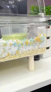 Bucatstate(布卡星) | Deodorizing Summer Absorbent Hamster Bedding