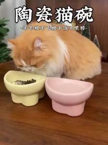 7o | Anti-Spill Slanted Pet Feeding Bowl