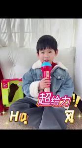 Hape | Educational Microphone Toy for Children