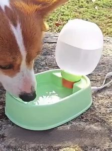 VOA | Portable Foldable Pet Water Bottle