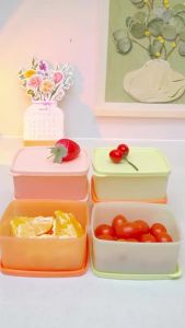 Tupperware | Portable Fruit Preservation Box Set Food Grade