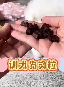 Training Reward Freeze Dried Dog Treats