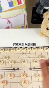 STARRY ARK | Magnetic Portable Chinese Chess Set Foldable