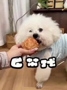 7o | Duck Meat Dental Chews For Small And Medium Dogs Egg Yolk Filled