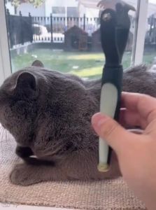 NIANXU | De-tangling Pet Brush for Dogs and Cats