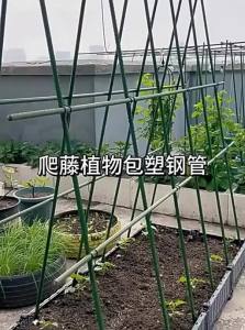 ZHUOLESHI | Garden Outdoor Plant Support