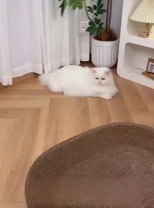 7o | Durable & Scratch-Resistant Cat Scratching Board