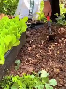 WEVOLA | Gardening Tool Set for Planting and Sea Harvesting