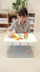 Citylong | Clear LEGO Block Storage Sorting Box