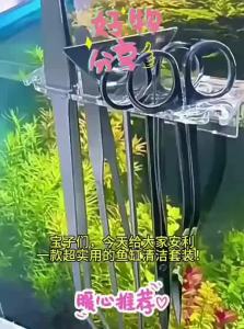 VOA | Aquarium Scissors Water Plant Forceps Algae Scraper Long Trimming Tools Stainless Steel Clips 3 Pieces Set