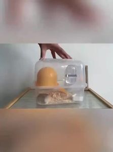 VOA | Lồng Thú Nhỏ Sang Trọng Bằng Acrylic Trong Suốt Có Chức Năng Gặm và Ẩn Náu