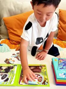 TONGMUXING | Educational Magnetic 3D Animal Puzzle for Toddlers