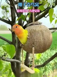 VOA | Seasonal Universal Parrot Nest Bed