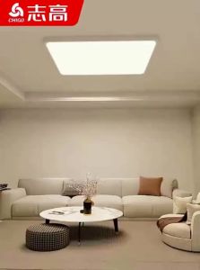 Chigo | Full Spectrum LED Room Light 2026 New Style