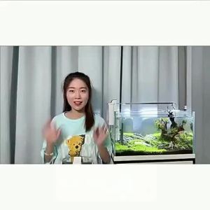 sunsun | Bộ Lọc Thác Nước Treo Tường cho Bể Cá Nhỏ với Bơm Lưu Thông và Làm Sạch Nước Im Lặng