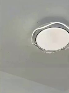 「China Plug」XIANLING | Fan Light Bedside Light Living Room Study Light Dining Room Childrens Room Eye Protection Quiet Simple Mid-century Style Ceiling Light