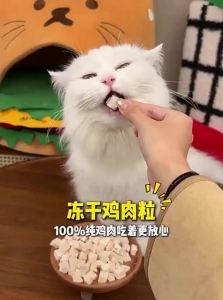 7o | Dried Freeze-chilled Cat Snacks for Teeth Grinding and Cleaning