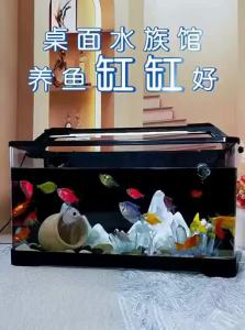 KUOTING | Tabletop Aquarium Eco Oxygen Filter Circulation