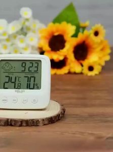 DELIXI | High Precision Home Temperature and Humidity Meter