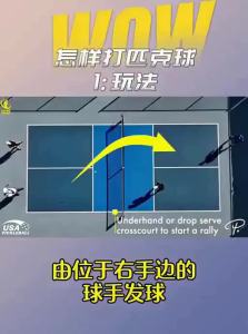 Training Pickleball 36 Balls