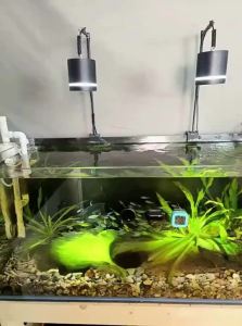 NAICHONG | High Precision Aquarium Thermometer