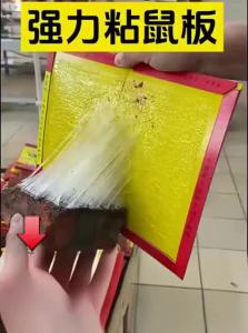 Super Strong Rat Trap Board