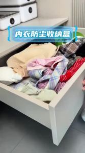 ASCOR | Hộp Đựng Quần Lót Vớ và Đồ Lót