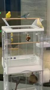Bucatstate(布卡星) | Stainless Large Parrot Cage Suitable for Tiger Parakeets Red-cheeked Cordon-bleu Peonies