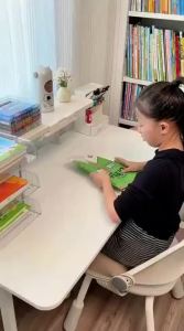 WEIAI | Book Organization Box & Desk Storage Shelf for Students and Children