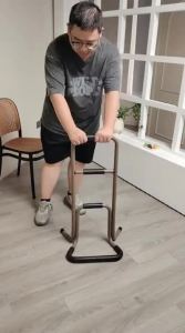 JIAWENHUA | Support Safe Rising Bedside Safety Rail
