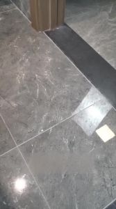 ZHIJIANYOUJIA | Water Absorbent Non-slip Door Mat