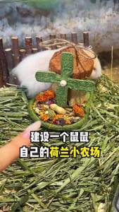 TIYES | Teething Entertainment Nutrition Hamster Food and Toy
