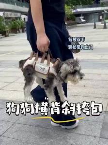 7o | Pet Carrier for Small Dogs and Cats