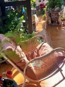 MEIQI | Rattan Swing Chair For Leisure