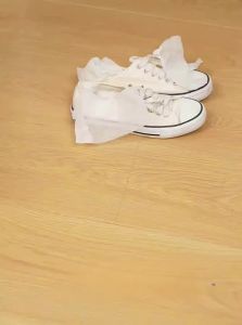 SIVASS | Dustproof Dehumidifying Anti-mold Shoe Bag for White Shoes