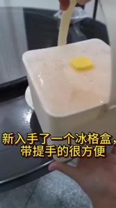 XIANGYOUYOU | Food Grade Press Ice Tray with Lid Home Ice Storage Box