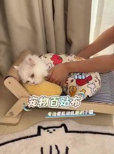 7o | Claw Resistant Bathing Fixation Blanket