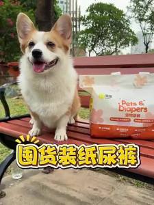 7o | Pet Dog Diaper