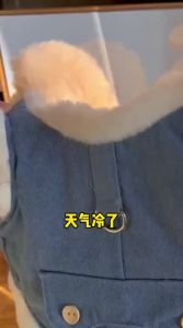 hipidog | Tetherable Winter Pet Clothes
