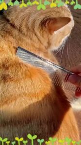7o | Cat Grooming Comb Pet Detangling Steel Comb Long Hair Cat Brush Straight Row Comb