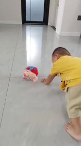 FUZAO | Early Education Intelligence Toy for Babies 6 Months and Above