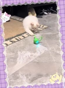 7o | Automatic Electric Cat Toy Self-Entertainment