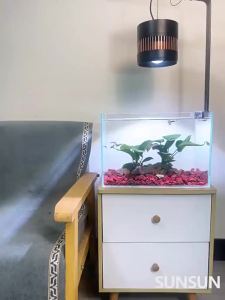 sunsun | Ultra Clear Desktop Aquarium for Lazy Landscape with Live Plants