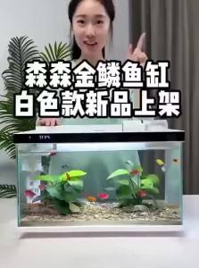 sunsun | Smart All-in-One Filtration Aerator Aquarium