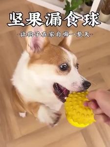 7o | Interactive Feeding Puzzle Toy For Medium Dogs