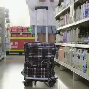 MLZH | Portable Carry-on Four-Wheel Trolley