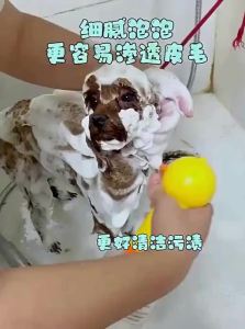 L&W BROS | Electric Foaming Pet Bathing Solution